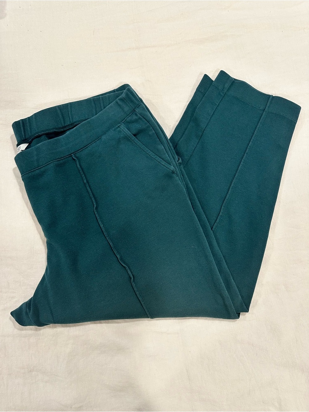 J. Crew Women's Teal Ankle Cropped Pull-On Pants